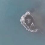 Aerial view of a circular whirlpool or foam ring forming on blue-green ocean water, seen from above.