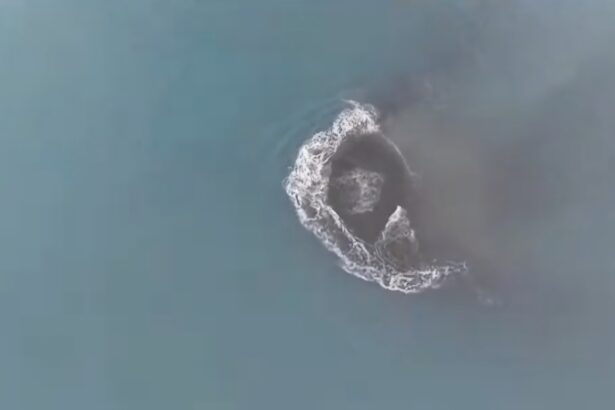 Aerial view of a circular whirlpool or foam ring forming on blue-green ocean water, seen from above.