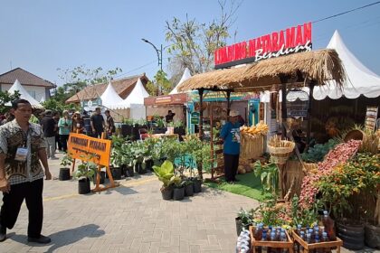 Outdoor market scene with white tents, a thatched-roof stall, and rows of potted plants and produce for sale.