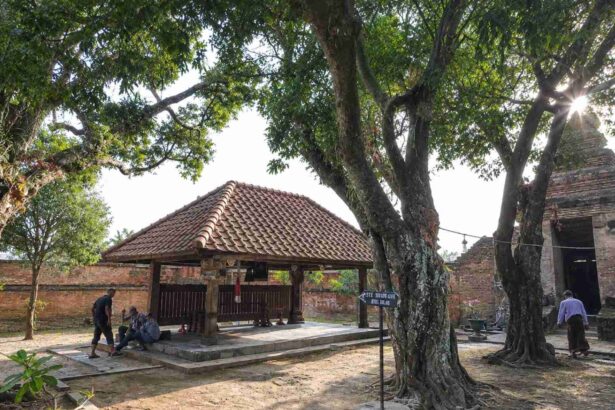Historic courtyard featuring a small tiled-roof pavilion, brick walls, and large tree roots casting shade.