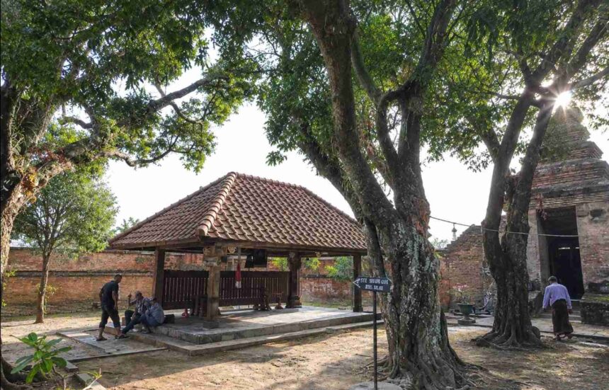Historic courtyard featuring a small tiled-roof pavilion, brick walls, and large tree roots casting shade.