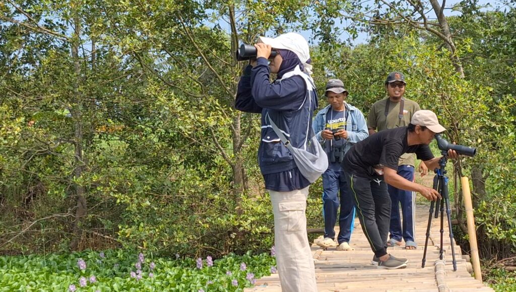 Screenshot_20261010_170723_Gallery - Mabur.co Group of people on a wooden boardwalk in a forest; one person looks through binoculars while others stand with gear nearby.