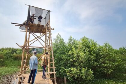 Wooden bamboo lookout tower with two people on a platform, over a grassy wetland and a blue sky above.