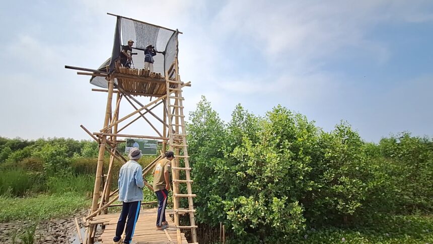 Wooden bamboo lookout tower with two people on a platform, over a grassy wetland and a blue sky above.