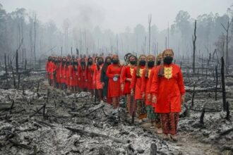 Line of people in bright red traditional attire walking through a smoky, burned landscape after a forest fire, wearing masks.