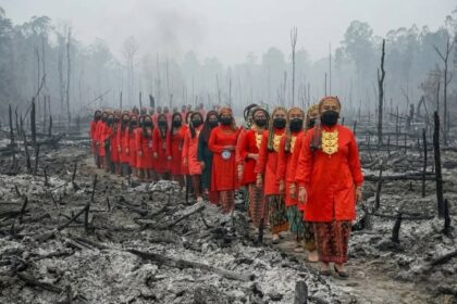 Line of people in bright red traditional attire walking through a smoky, burned landscape after a forest fire, wearing masks.