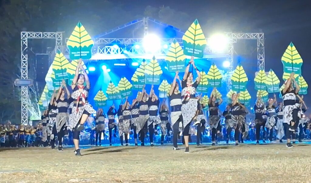 Group of performers on a lit outdoor stage holding oversized yellow-green leaf props during a night-time dance show.