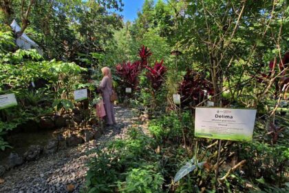 A woman in a beige hijab walks through a lush garden exhibit with labeled plants, including a Delima (Punico granatum) sign.
