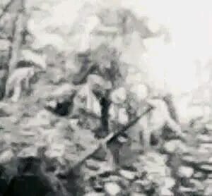 Foto makluk goib berwujud prajurit mataram, macan /kucing putih. (Foto: Dok. Suhadi)