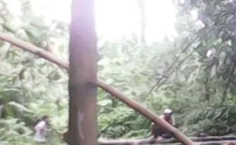 Sosok makluk halus yang terkam kamera berwujud naga ,ular putih leluhur /Wali. (Foto: Dok. Suhadi)