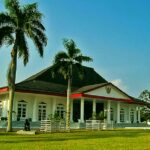 White museum-style building with red accents and columns, set on a grassy lawn with tall palm trees on either side.