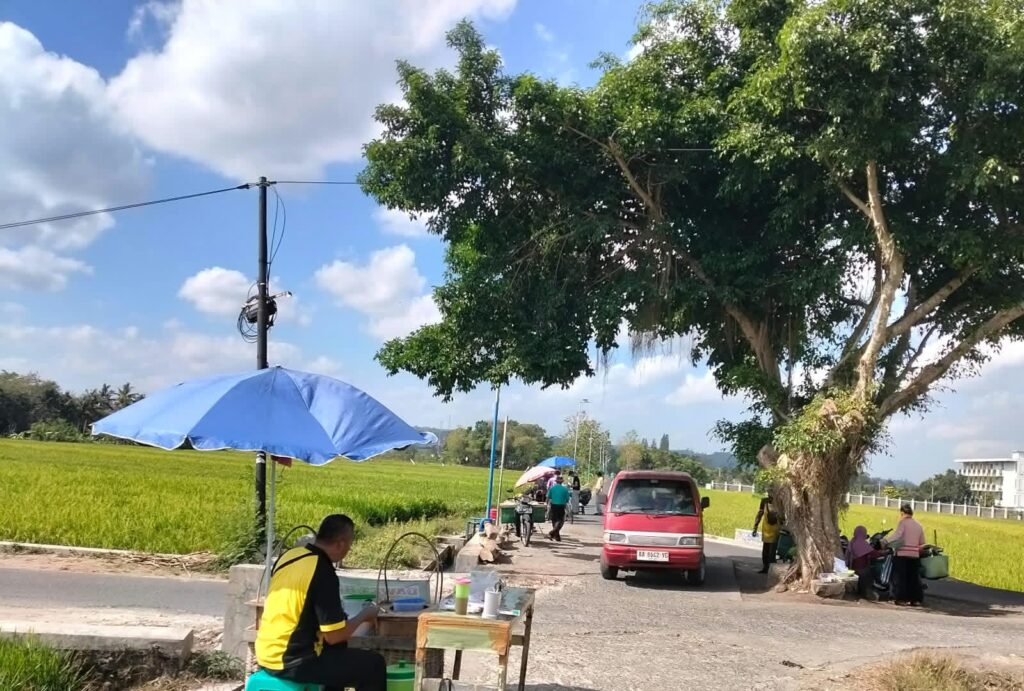 Rural roadside market with a blue umbrella, a red van, and people selling goods under trees beside a green rice field.