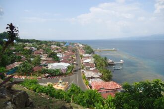 Coastal town built on a hillside with a main road running toward the sea, red-roofed houses and palm trees lining the street.