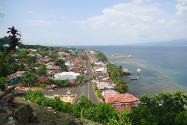 Coastal town built on a hillside with a main road running toward the sea, red-roofed houses and palm trees lining the street.