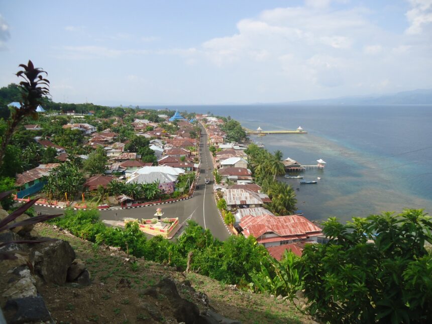 Coastal town built on a hillside with a main road running toward the sea, red-roofed houses and palm trees lining the street.