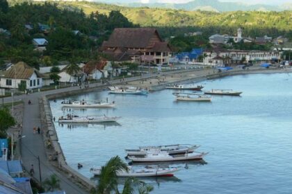 Coastal harbor with several small boats anchored by a stone quay and a row of colorful buildings along the waterfront-palm trees in the foreground and hills in the background.
