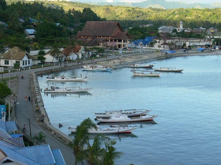 Coastal harbor with several small boats anchored by a stone quay and a row of colorful buildings along the waterfront-palm trees in the foreground and hills in the background.