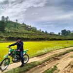Person on a green dirt bike beside a yellow rice field with terraced hills and a blue sky in the background.
