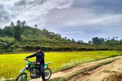 Person on a green dirt bike beside a yellow rice field with terraced hills and a blue sky in the background.