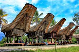 WhatsApp Image 2026-09-14 at 1548351 - Mabur.co Row of traditional wooden stilt houses with tall thatched roofs on a sunny tropical day.