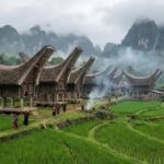 Row of traditional wooden stilt houses with curved roofs set among green terraced rice fields, misty mountains in the background.