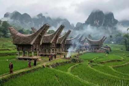 Row of traditional wooden stilt houses with curved roofs set among green terraced rice fields, misty mountains in the background.