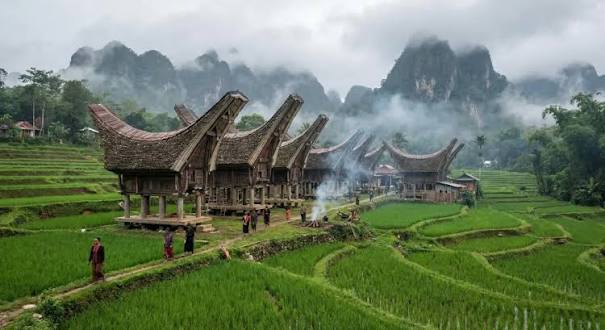 Row of traditional wooden stilt houses with curved roofs set among green terraced rice fields, misty mountains in the background.