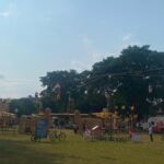 Open-air park festival with hay sculptures, hanging decorations, and people strolling under a large tree on a sunny day.