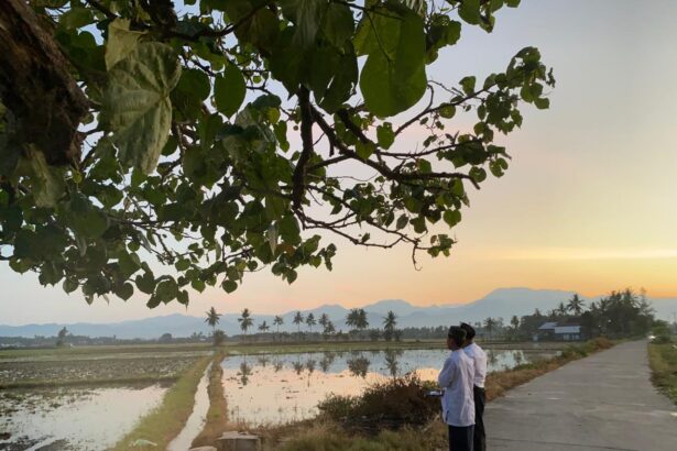 Two men in traditional clothing stand on a rural concrete road beside flooded rice fields at sunset, with palm trees and distant mountains in the background.