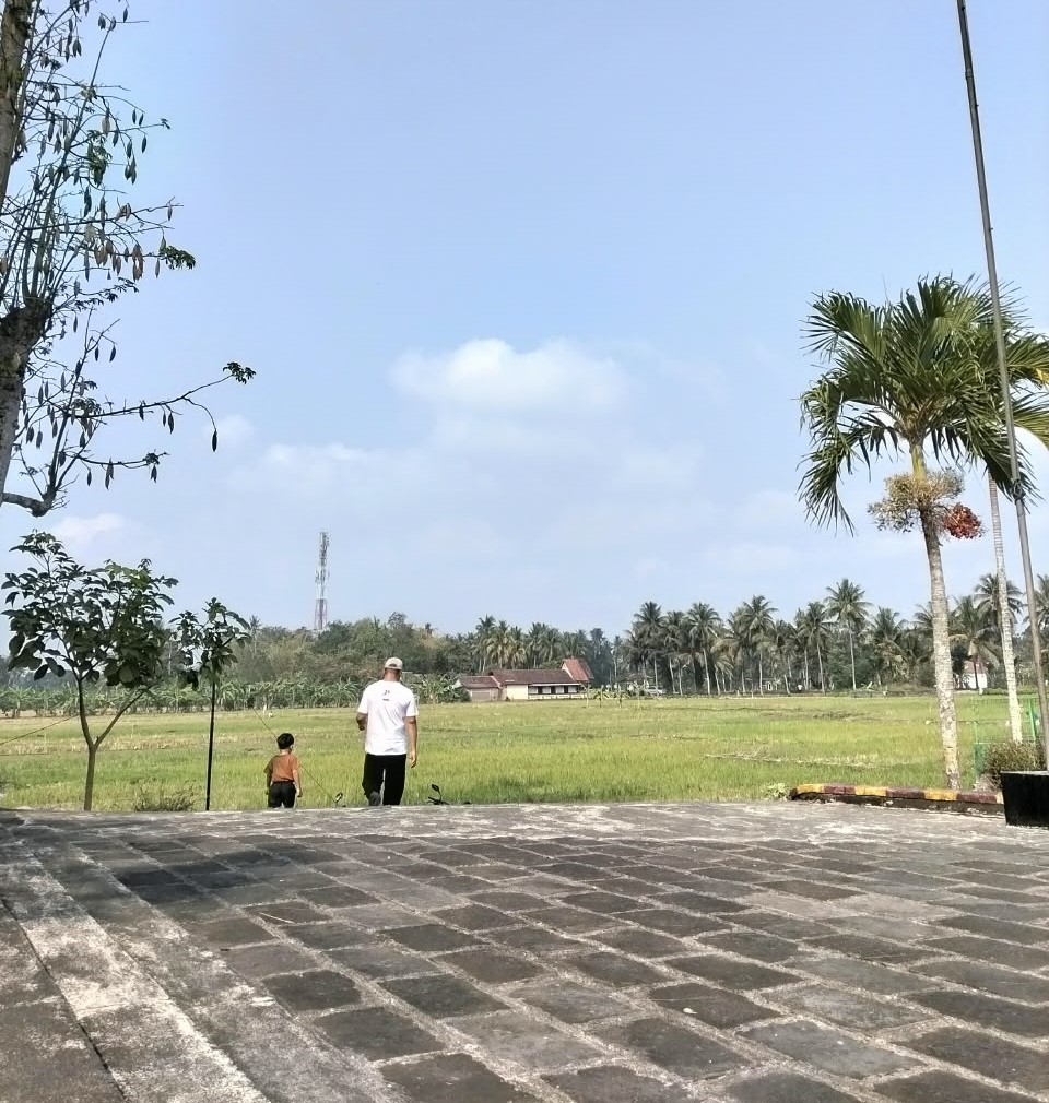 Man in a white shirt and a small child walk toward a rice field under a bright blue sky, framed by palm trees and a distant building.