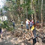 Group of people clearing branches in a dense bamboo grove