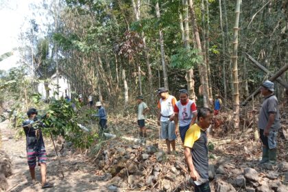 Group of people clearing branches in a dense bamboo grove