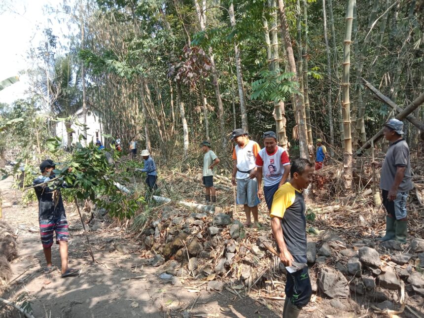 Group of people clearing branches in a dense bamboo grove