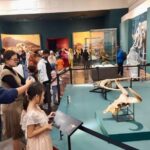 Museum gallery with visitors viewing dinosaur skull fossils on display in a teal-walled room, with barriers guiding the line and exhibit cases in the background.