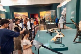 Museum gallery with visitors viewing dinosaur skull fossils on display in a teal-walled room, with barriers guiding the line and exhibit cases in the background.