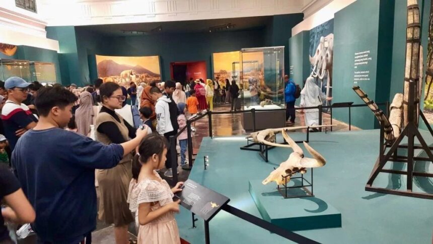 Museum gallery with visitors viewing dinosaur skull fossils on display in a teal-walled room, with barriers guiding the line and exhibit cases in the background.