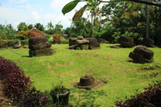 Open grassy yard with large weathered stone blocks arranged in irregular piles, tropical plants in the background.