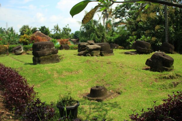 Open grassy yard with large weathered stone blocks arranged in irregular piles, tropical plants in the background.