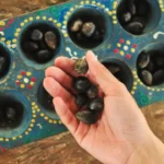 Hand holding a few dark seeds above a painted seed tray with many more seeds in the holes.