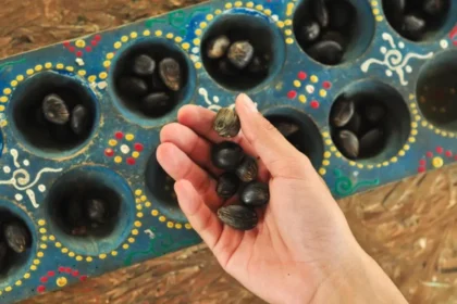 Hand holding a few dark seeds above a painted seed tray with many more seeds in the holes.