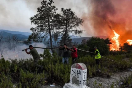 Four men drag a long hose toward a large brush fire in a hilly, smoky landscape as flames rise in the background.] , [Volunteers work together to fight a forest fire, hauling a water hose past a milestone marker.] , [Fire rages in the hills while a group of men pulls a long hose toward the flames, one wearing a high-visibility vest.] , [Smoky hillside fire with people guiding a hose toward the blaze near a roadside marker.]