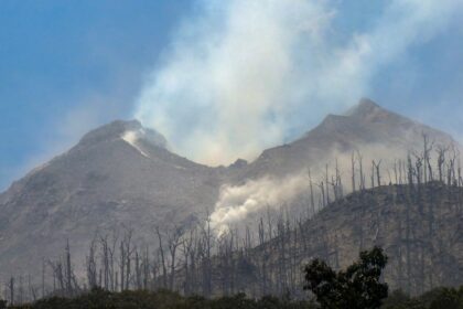 Volcano erupting with white smoke plumes, charred forest on the slope and a blue sky above.