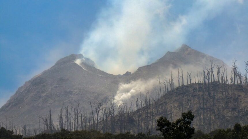 Volcano erupting with white smoke plumes, charred forest on the slope and a blue sky above.