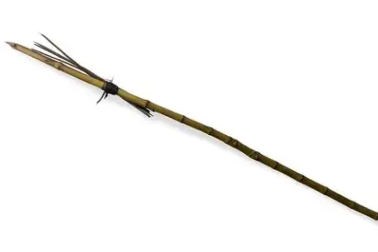 Long wooden spear with a sharpened tip, bound near the head, laid diagonally on a white background.