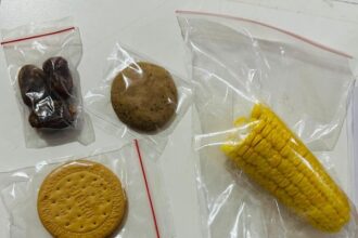 Assorted snacks in plastic bags: dates, a round cookie, a sandwich biscuit, and a corn cob.