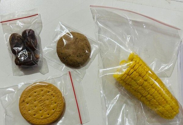 Assorted snacks in plastic bags: dates, a round cookie, a sandwich biscuit, and a corn cob.