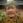 Wawan Susetya