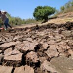Cracked dry soil in a parched field with a distant person bending over a bucket in the background.