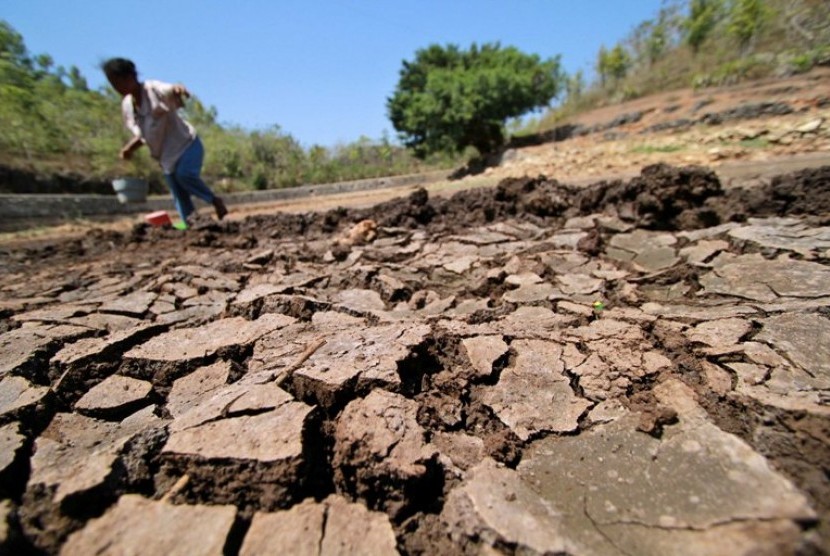 Cracked dry soil in a parched field with a distant person bending over a bucket in the background.