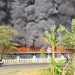 Fire on a building or area behind a white fence, with dense black smoke filling the sky; banana trees in the foreground.